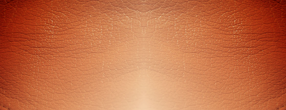 fondo
